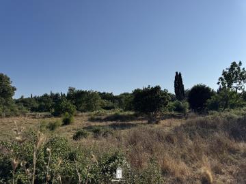 ano-korakiana-land-with-privacy