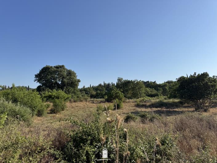 Image No.7-Terre à vendre à Ano Korakiana