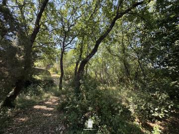 buildable-land-for-sale-corfu-6