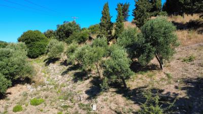 corfu-property-for-sale-4