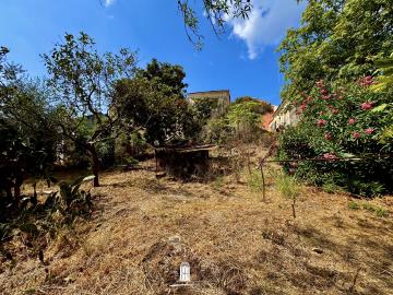 argirades-property-for-sale10