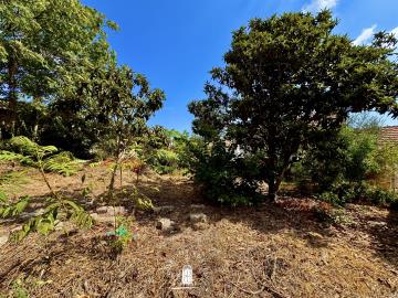 argirades-property-for-sale11