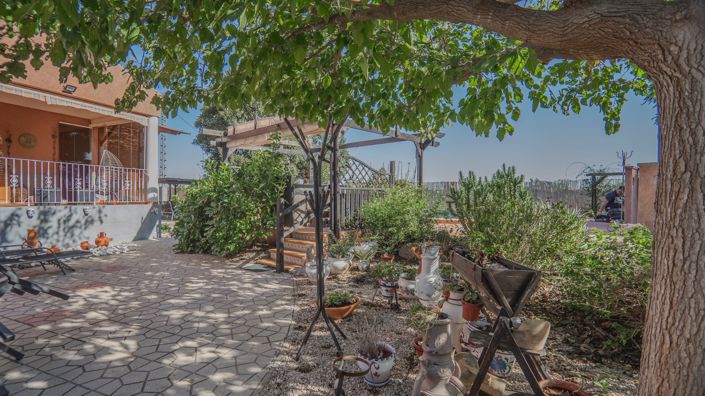 Image No.30-Propriété de pays de 3 chambres à vendre à Orihuela