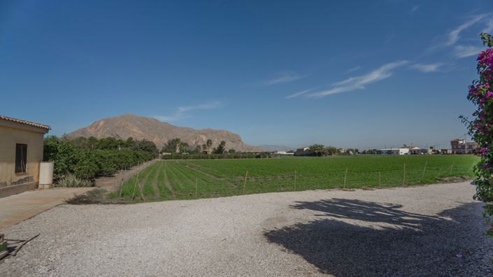 Image No.37-Propriété de pays de 3 chambres à vendre à Orihuela