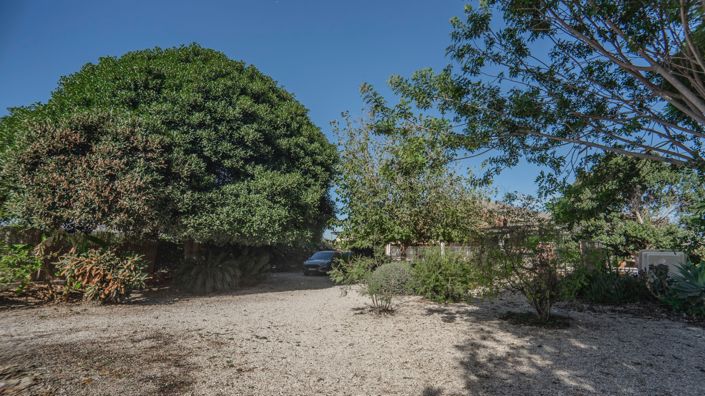 Image No.41-Propriété de pays de 3 chambres à vendre à Orihuela