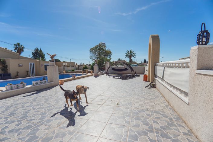 Image No.45-Propriété de pays de 6 chambres à vendre à Los Montesinos