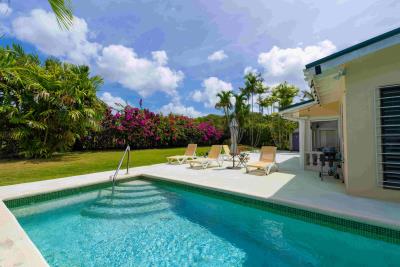 DSC01486-Enhanced-NR