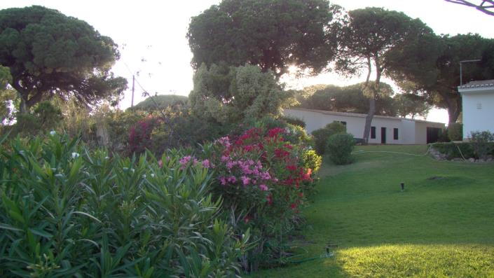 Image No.20-Maison / Villa de 3 chambres à vendre à Areias de são joão