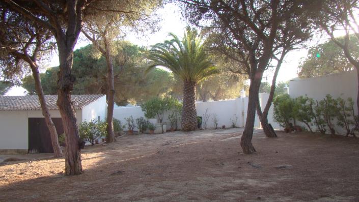 Image No.22-Maison / Villa de 3 chambres à vendre à Areias de são joão