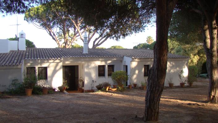 Image No.24-Maison / Villa de 3 chambres à vendre à Areias de são joão