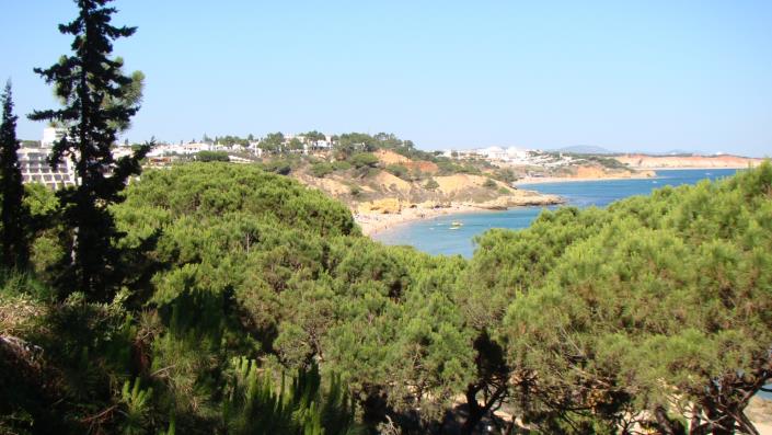 Image No.27-Maison / Villa de 3 chambres à vendre à Areias de são joão