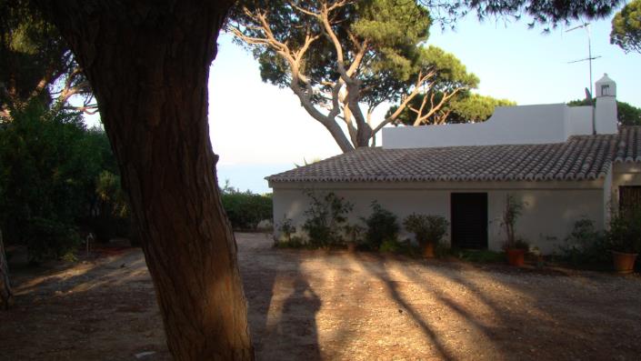 Image No.31-Maison / Villa de 3 chambres à vendre à Areias de são joão