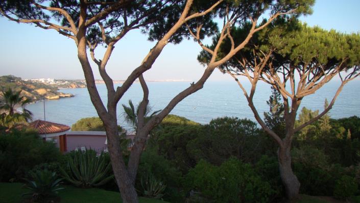 Image No.34-Maison / Villa de 3 chambres à vendre à Areias de são joão