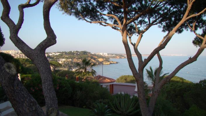 Image No.3-Maison / Villa de 3 chambres à vendre à Areias de são joão