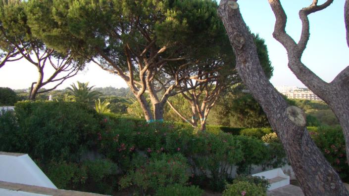 Image No.40-Maison / Villa de 3 chambres à vendre à Areias de são joão