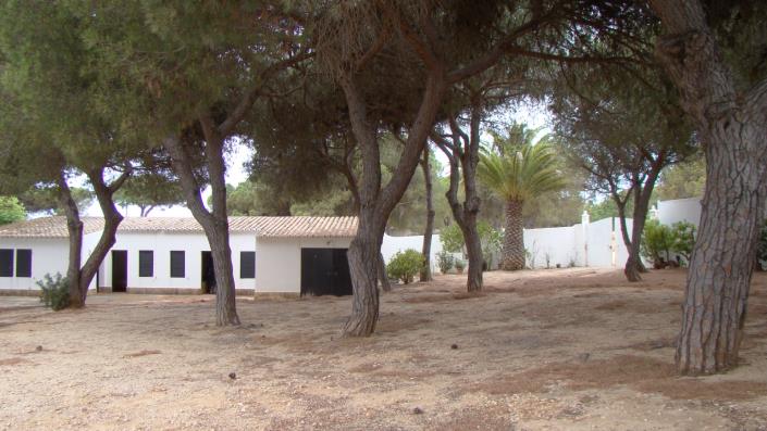 Image No.48-Maison / Villa de 3 chambres à vendre à Areias de são joão