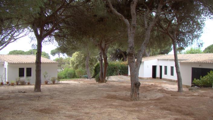 Image No.49-Maison / Villa de 3 chambres à vendre à Areias de são joão