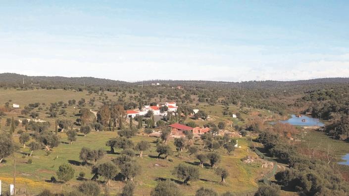 Image No.4-Propriété de 3 chambres à vendre à Alcácer do Sal