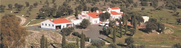 Image No.3-Propriété de 3 chambres à vendre à Alcácer do Sal