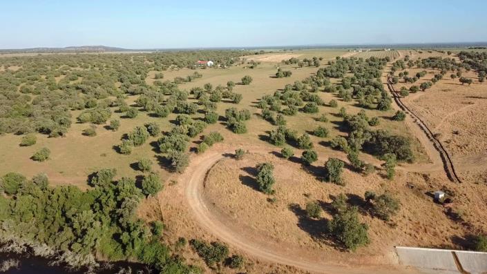 Image No.11-Propriété de pays de 3 chambres à vendre à Alcácer do Sal