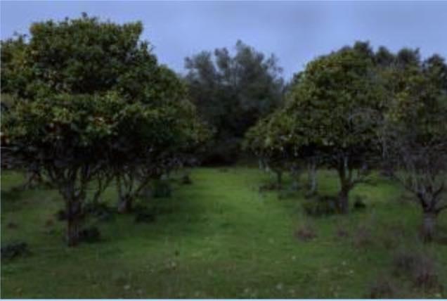 Image No.6-Propriété de 19 chambres à vendre à Albufeira