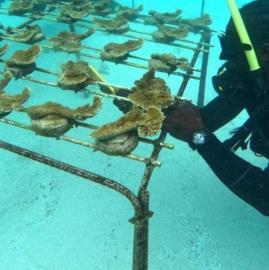 59eee052-2aec-4149-a3df-08e18a881a0b