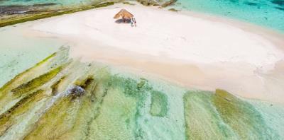 3e8d0931-984b-41d9-b152-283d18924bab