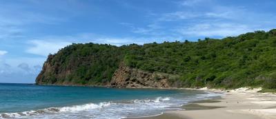 c8f19324-f5f0-4e6d-b685-1e19ae8d8e7a