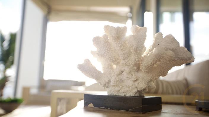 Image No.24-Villa de 4 chambres à vendre à Carriacou