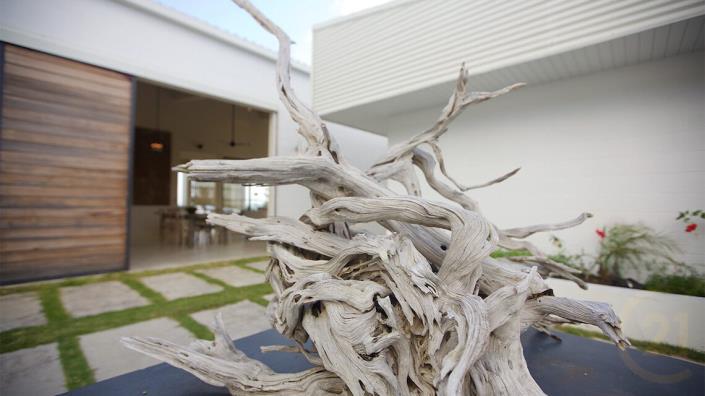 Image No.33-Villa de 4 chambres à vendre à Carriacou