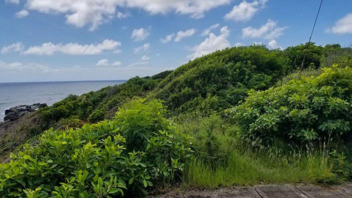 Image No.10-Land for sale