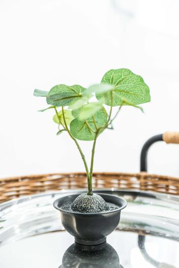 Image No.26-Appartement de 1 chambre à vendre à Kipseli