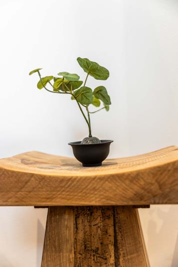 Image No.28-Appartement de 1 chambre à vendre à Kipseli