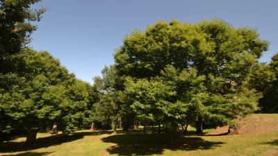 Antica-vila-Tuscany8