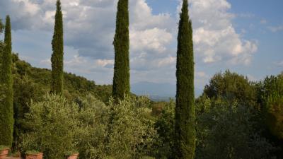 Pietra-Toskansko-dom5