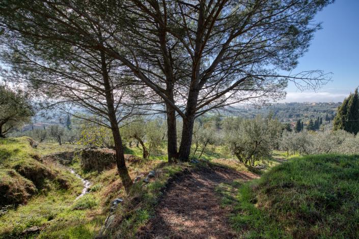 Image No.31-Maison de campagne de 4 chambres à vendre à Cortona