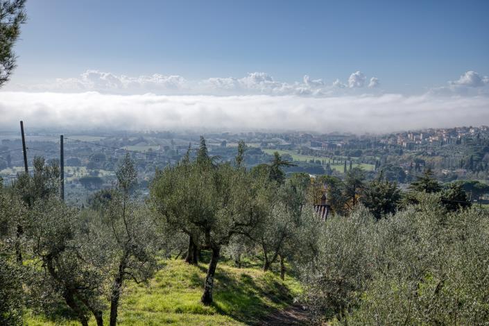 Image No.33-Maison de campagne de 4 chambres à vendre à Cortona