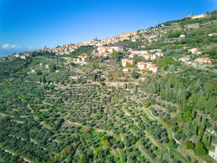 Image No.35-Maison de campagne de 4 chambres à vendre à Cortona