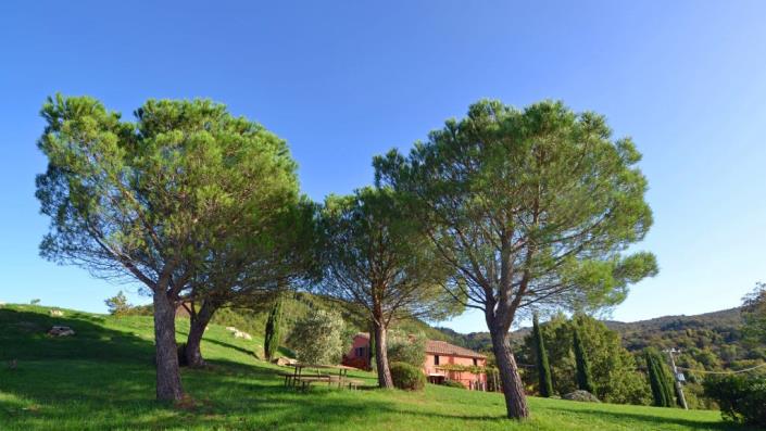 Image No.7-Maison de campagne de 4 chambres à vendre à Cinigiano