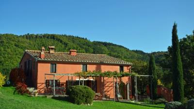 Monticelo-tuscany-dom