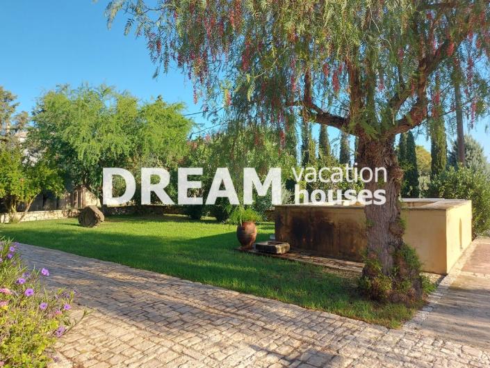 Image No.43-Maison de 3 chambres à vendre à Zante