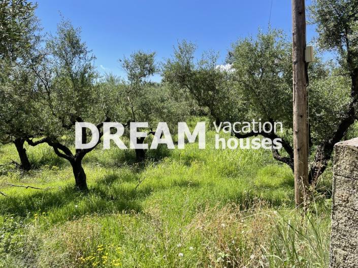 Image No.6-Plot for sale