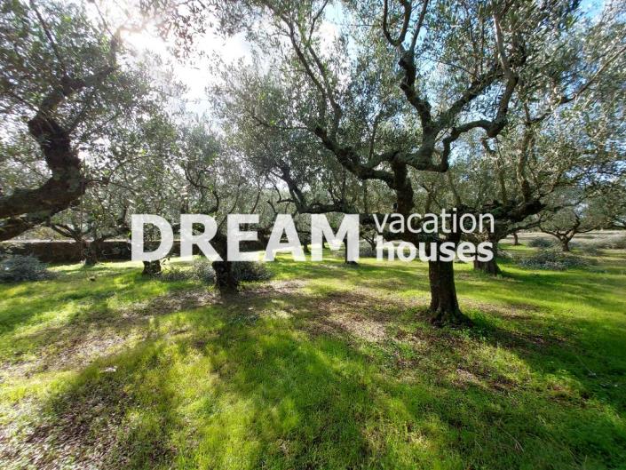 Image No.9-Plot for sale