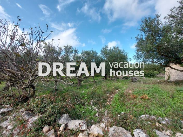 Image No.14-Plot for sale