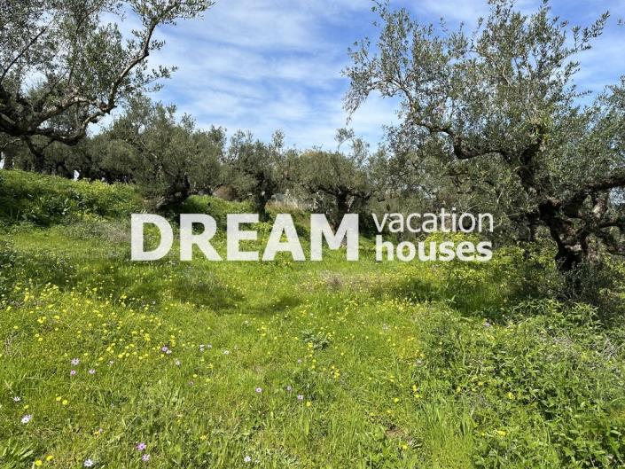 Image No.5-Plot for sale