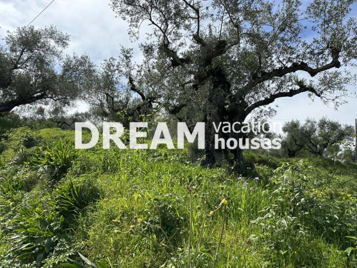 Image No.9-Plot for sale