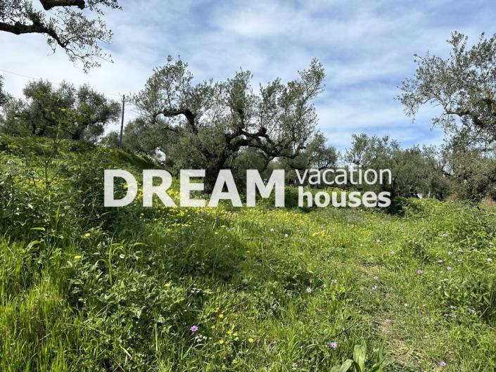 Image No.10-Plot for sale