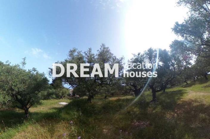 Image No.8-Plot for sale