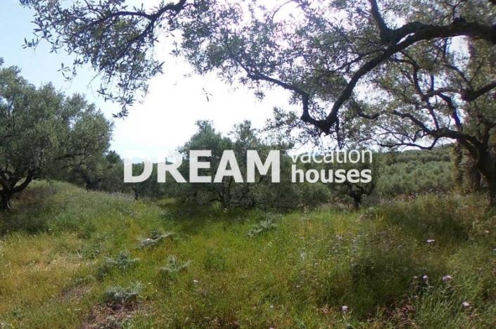 Image No.4-Plot for sale