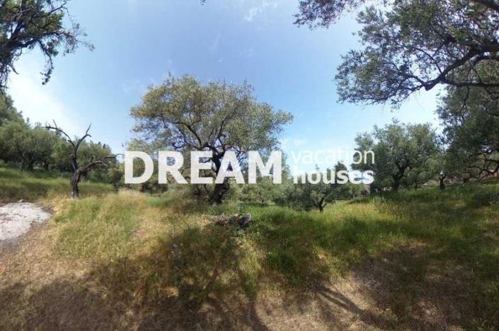 Image No.12-Plot for sale